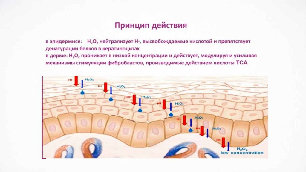 Как работает процедура PRX-T33: механизм действия всесезонного пилинга